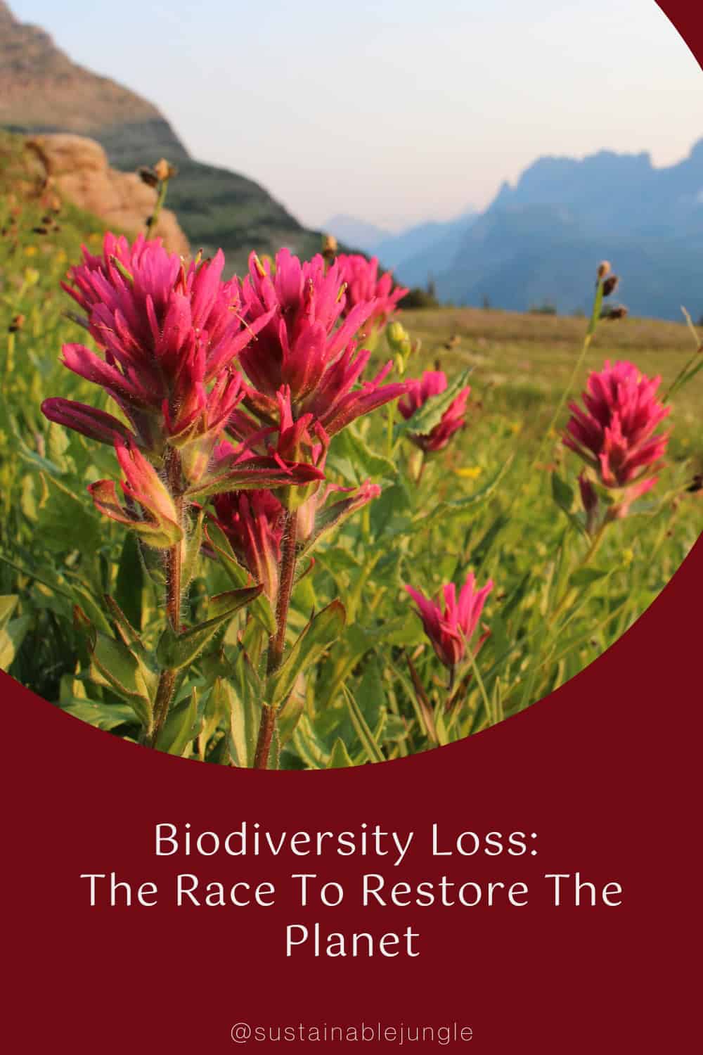 Biodiversity Loss: The Race To Restore The Planet Image by Sustainable Jungle #biodiversityloss #whatisbiodiversityloss #lossofbiodiversity #biodiversitylosscauses #importanceofbiodiversity #solutionstobiodiversityloss #sustainablejungle