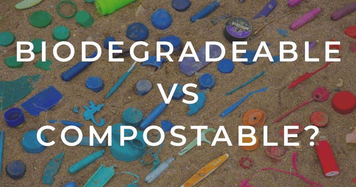 Biodegradable Vs Compostable Breaking Down How Waste Breaks Down