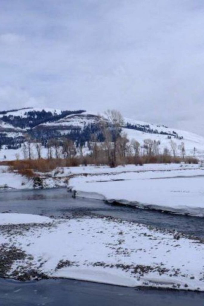Living With Nature: Important Learnings From The Edge Of Yellowstone National Park #livingwithnature #yellowstone