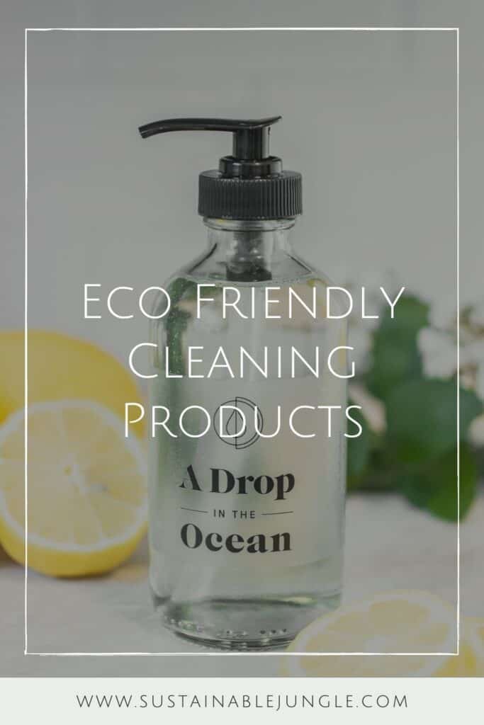 9 Best Eco Friendly Cleaning Products That Won’t Dirty Our Planet