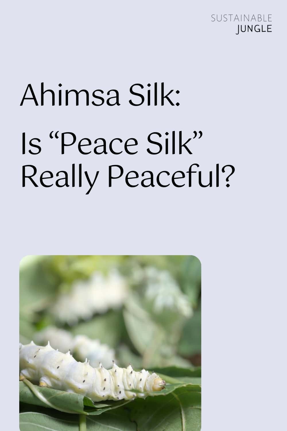 Ahimsa Silk: Is “Peace Silk” Really Peaceful? Image by nattul #ahimsasilk #peacesilk #ahimsapeacesilk #ethicalsilk #ahimsasilkfabric #crueltyfreesilk #sustainablejungle