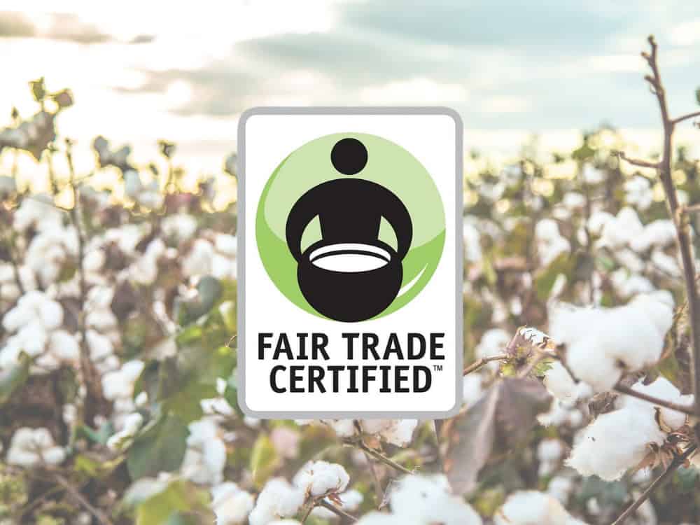 What Is Fair Trade?Image by Mailson Pignata#whatisfairtrade #whatdoesfairtrademean #fairtradecertified #fairtradedefinition #fairtradeethids #fairtradecertifiedmeaning #sustainablejungle