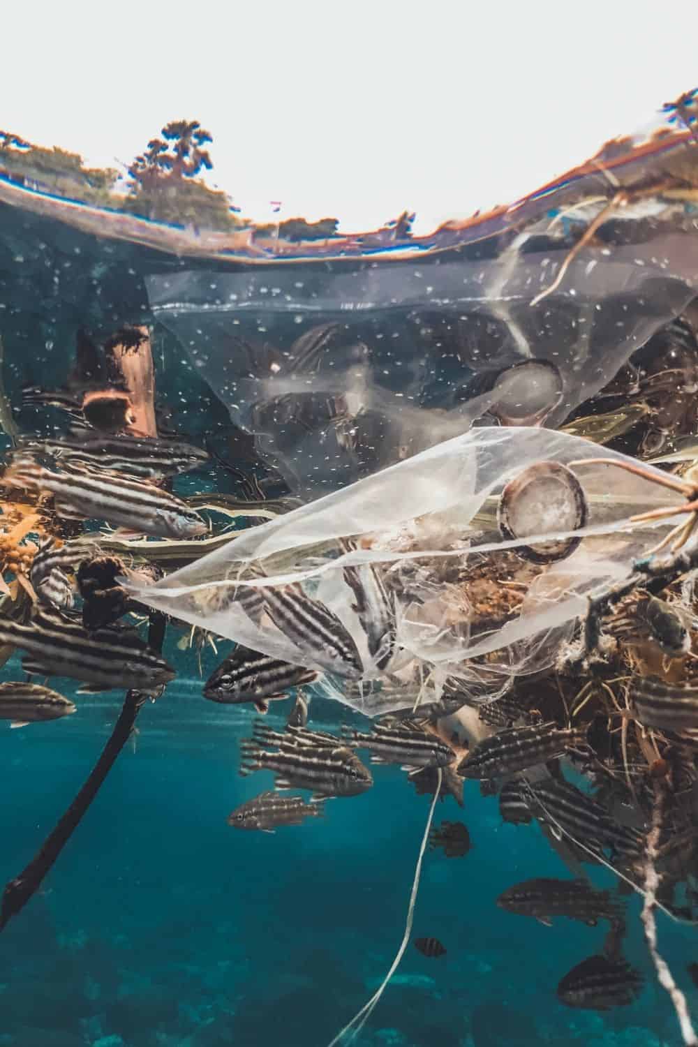 Glass Vs Plastic What Is Safer And More Eco Friendly   Photo By Naja Bertolt Jensen On Unsplash 