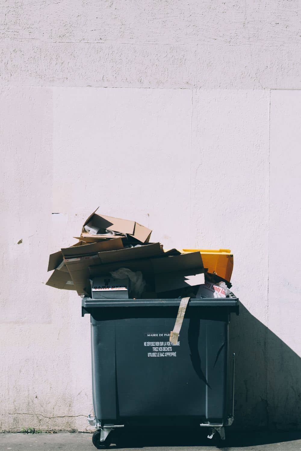 what-to-do-with-old-books-how-to-treat-yo-shelf-sustainably