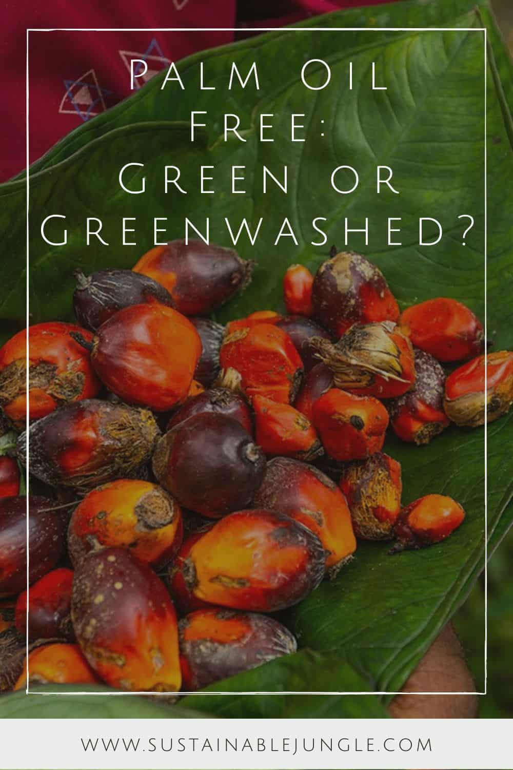 Palm Oil Free: Green Or Greenwashing?