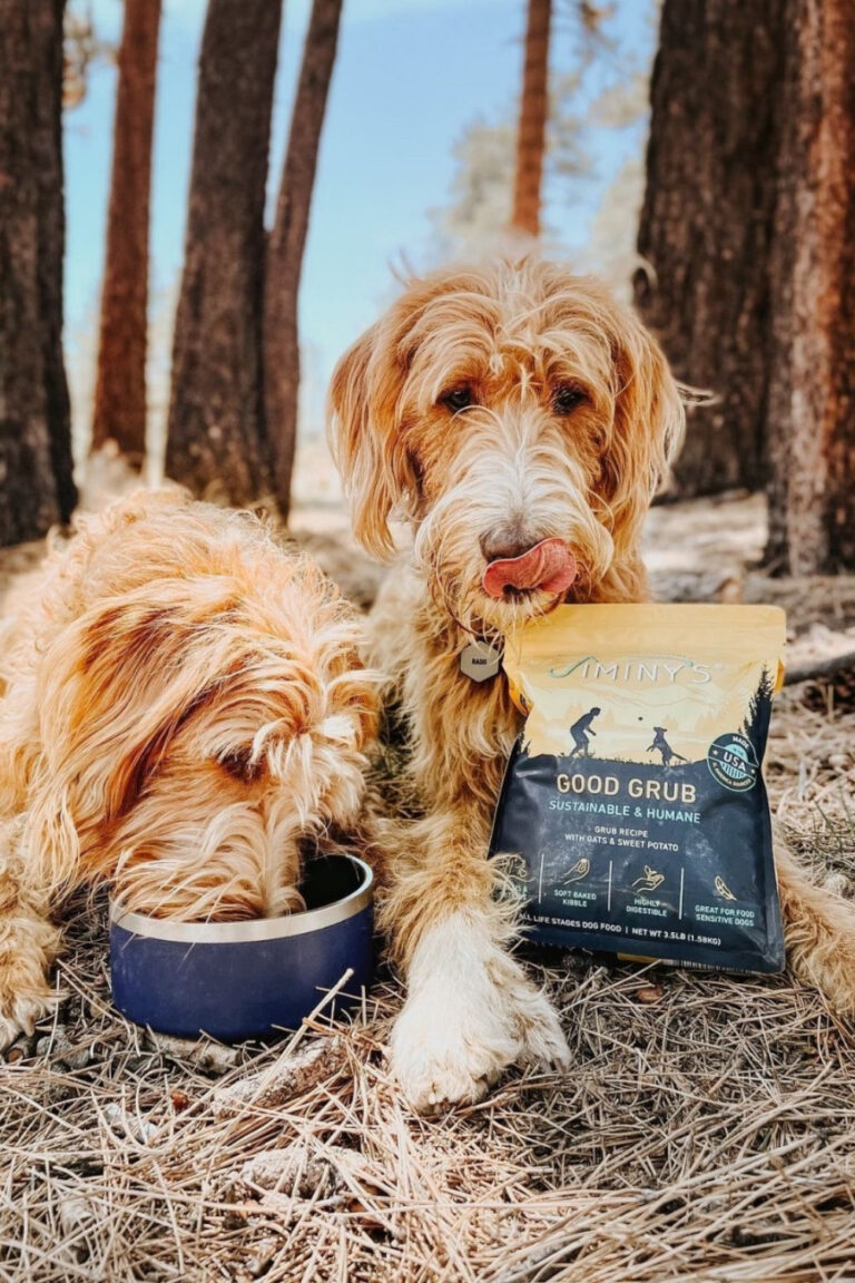 9 Sustainable Dog Food Brands Making Every Bowl Eco Friendly