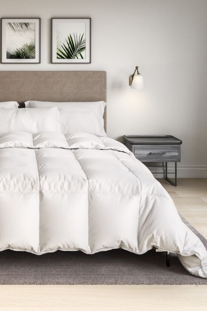 best organic comforter