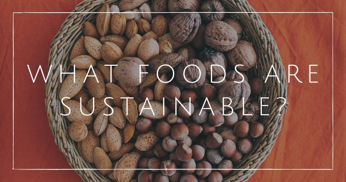 What Foods Are Sustainable? 11 Choices For EcoConscious Eating