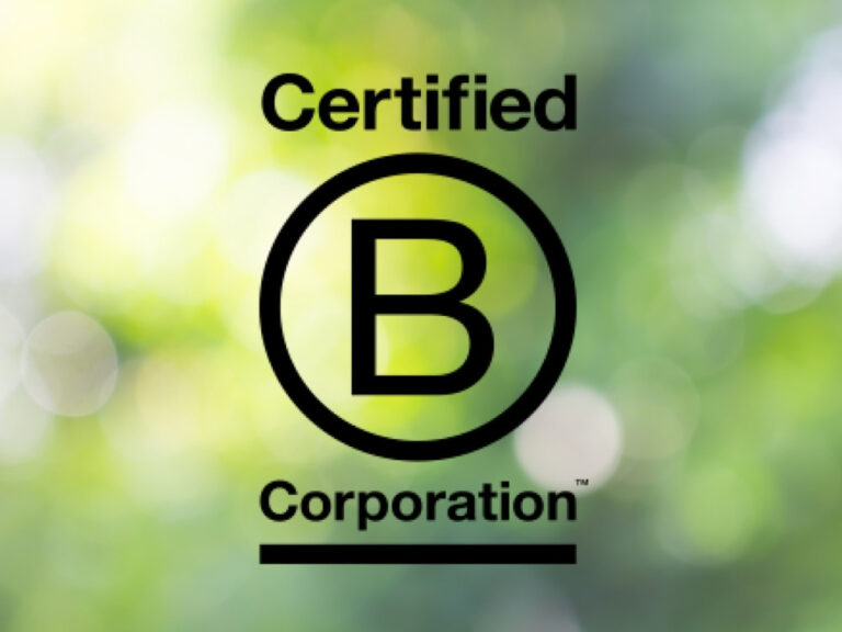 B Corp Greenwashing How Ethical And Reliable Is Their Certification 1247