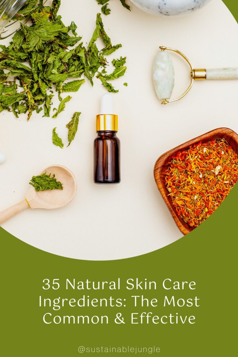 37 Natural Skin Care Ingredients: The Most Common and Effective