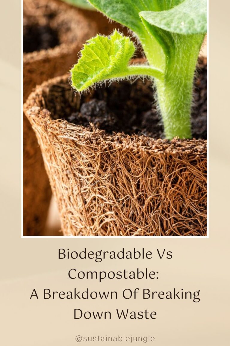 Biodegradable Vs Compostable: Breaking Down How Waste Breaks Down