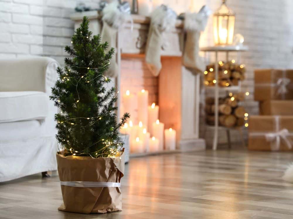 21 Sustainable Christmas Ideas For A Low Carbon Christmas Image by africa images #sustainablechristmas #ecofriendlychristmas #sustainablechristmasideas #howtohaveamoresustainablechristmas #tipsforanecofriendlychristmas #sustainablejungle