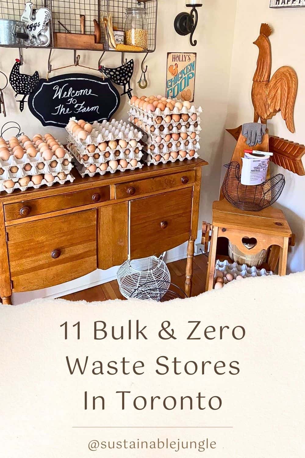 11 Bulk & Zero Waste Stores In Toronto For A More Sustainable 6ix Image by Karma Co-op #zerowastestoreToronto #bestzerowastestoresToronto #bulkstoresToronto #refillstoreToronto #zerowasteshopping #sustainablejungle
