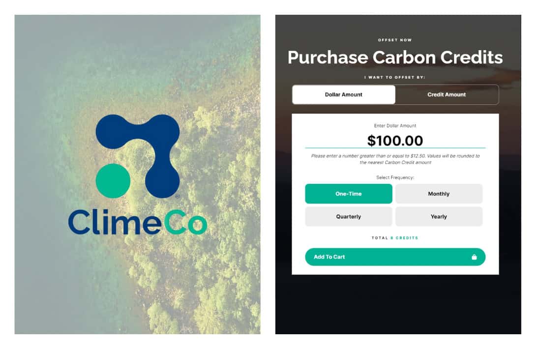 9 Best Carbon Offset Programs To Balance Your Carbon Footprint Images by ClimeCo and Sustainable Jungle #bestcarbonoffsetprograms #carbonoffsetproviders #carbonoffsetcompanies #wheretobuycarbonoffsets #bestcarbonoffsetproviders #sustainablejungle