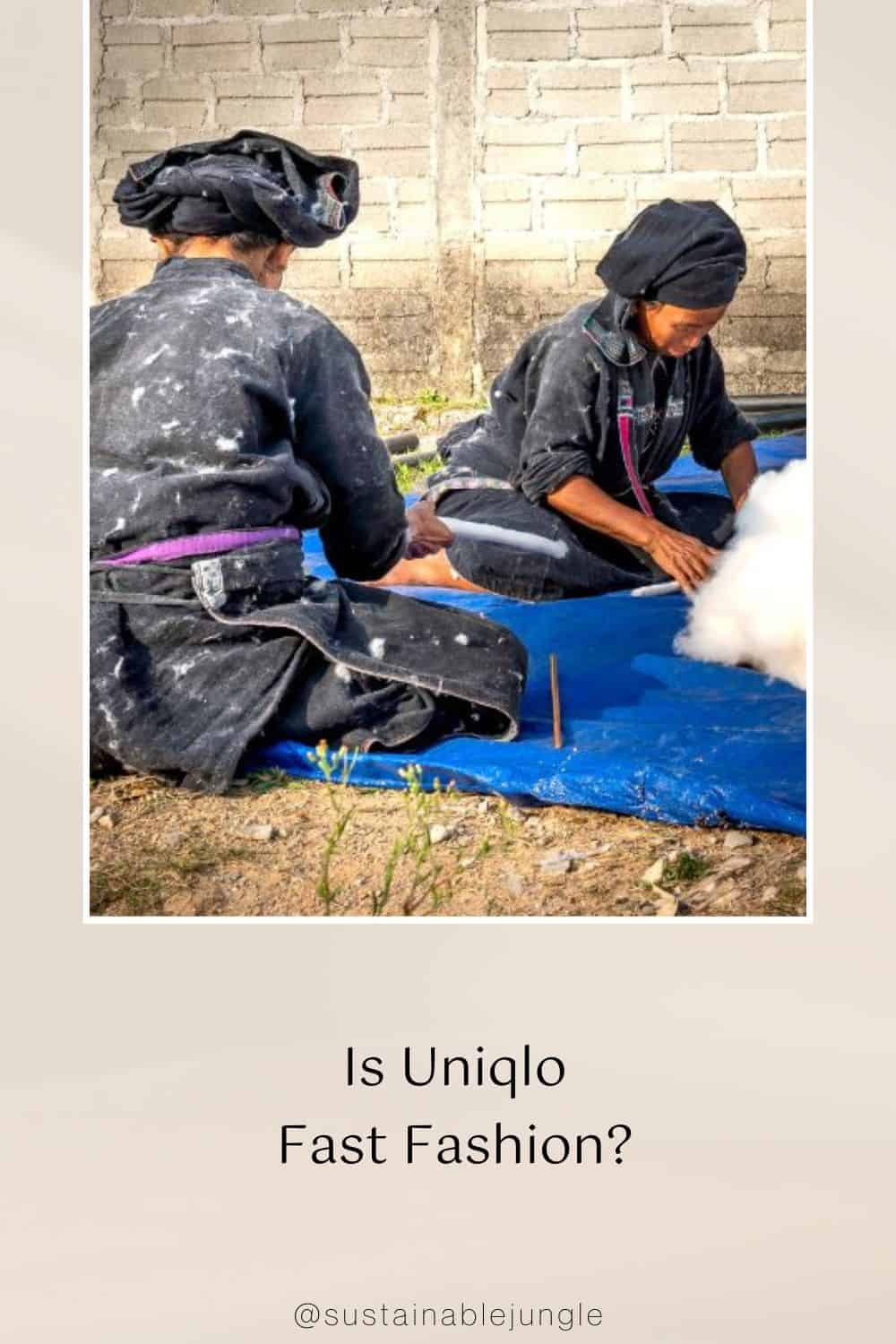Is Uniqlo Fast Fashion? Image by quang nguyen vinh #isuniqlofastfashion #isuniqloethical #uniqlosustainability #whatisuniqlo #isuniqlosustainable #sustainablejungle