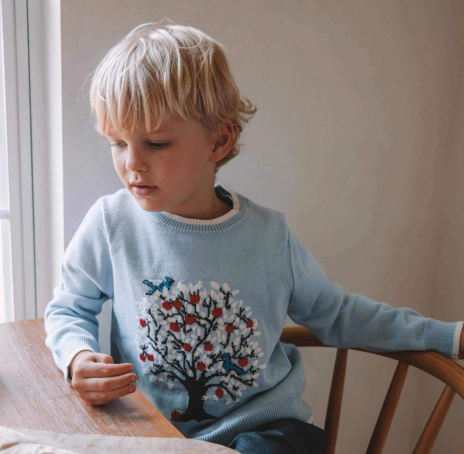 A young boy sits by a window wearing Firebird Kids’ best-selling Tree Intarsia Sweater in light blue, featuring a knitted tree design with red apples and birds. This image appears in the Sustainable Jungle Brand Directory listing for Firebird Kids.