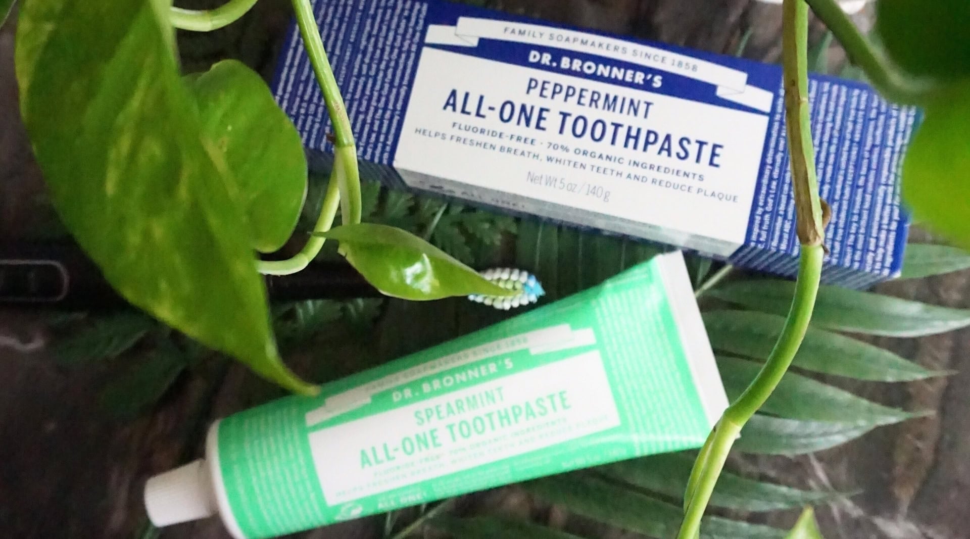 Image by Sustainable Jungle (Dr. Bronner’s) (cruelty-free-vegan-toothpaste)