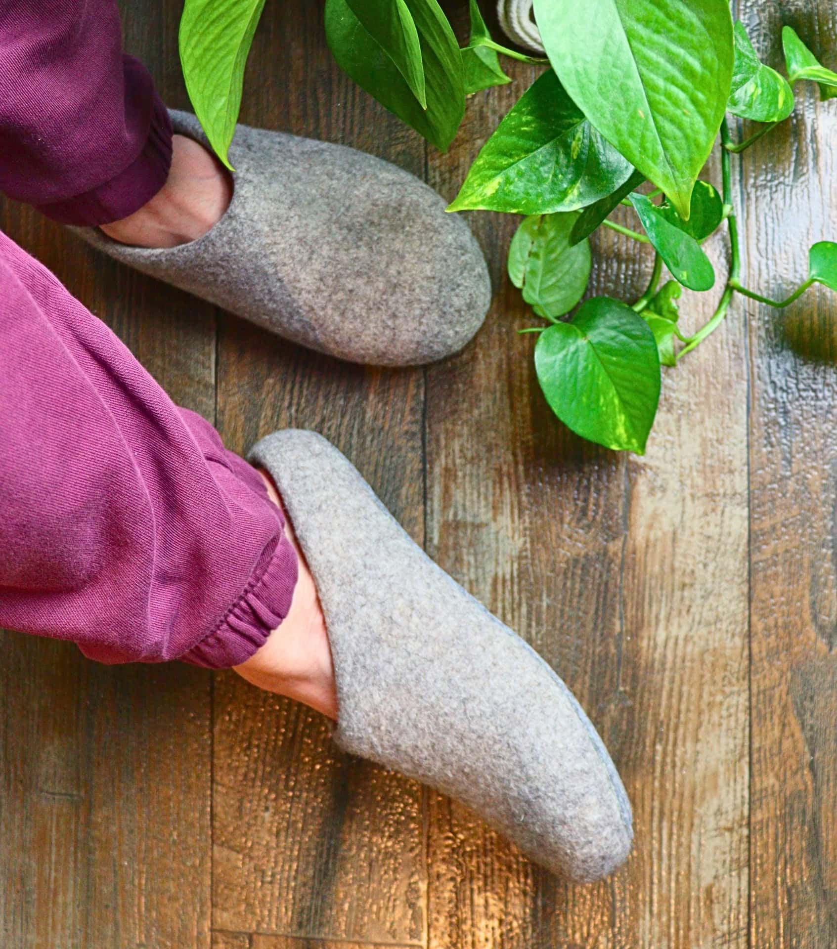 Sustainable slippers online