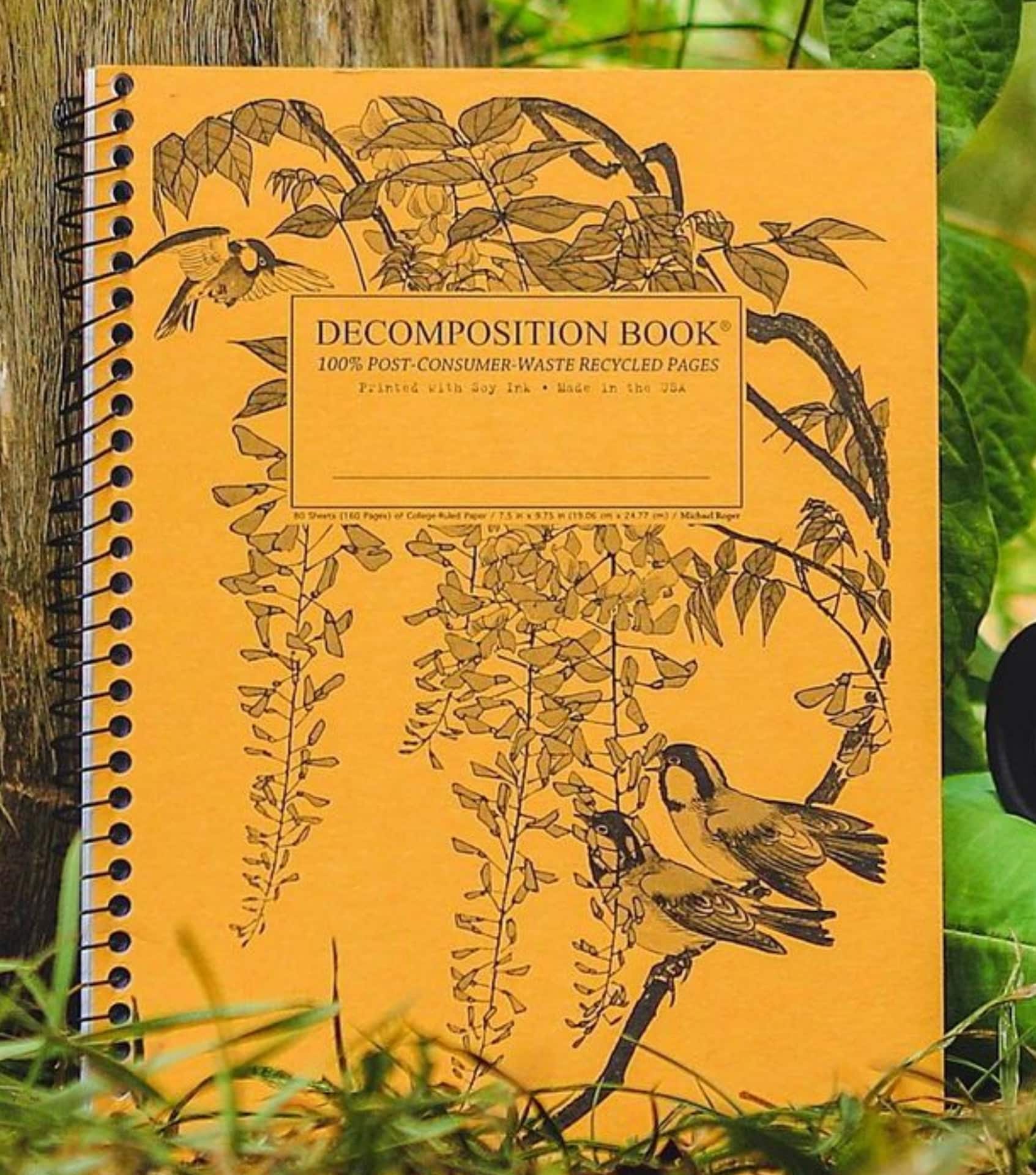 Image by Decomposition (sustainable-notebooks)