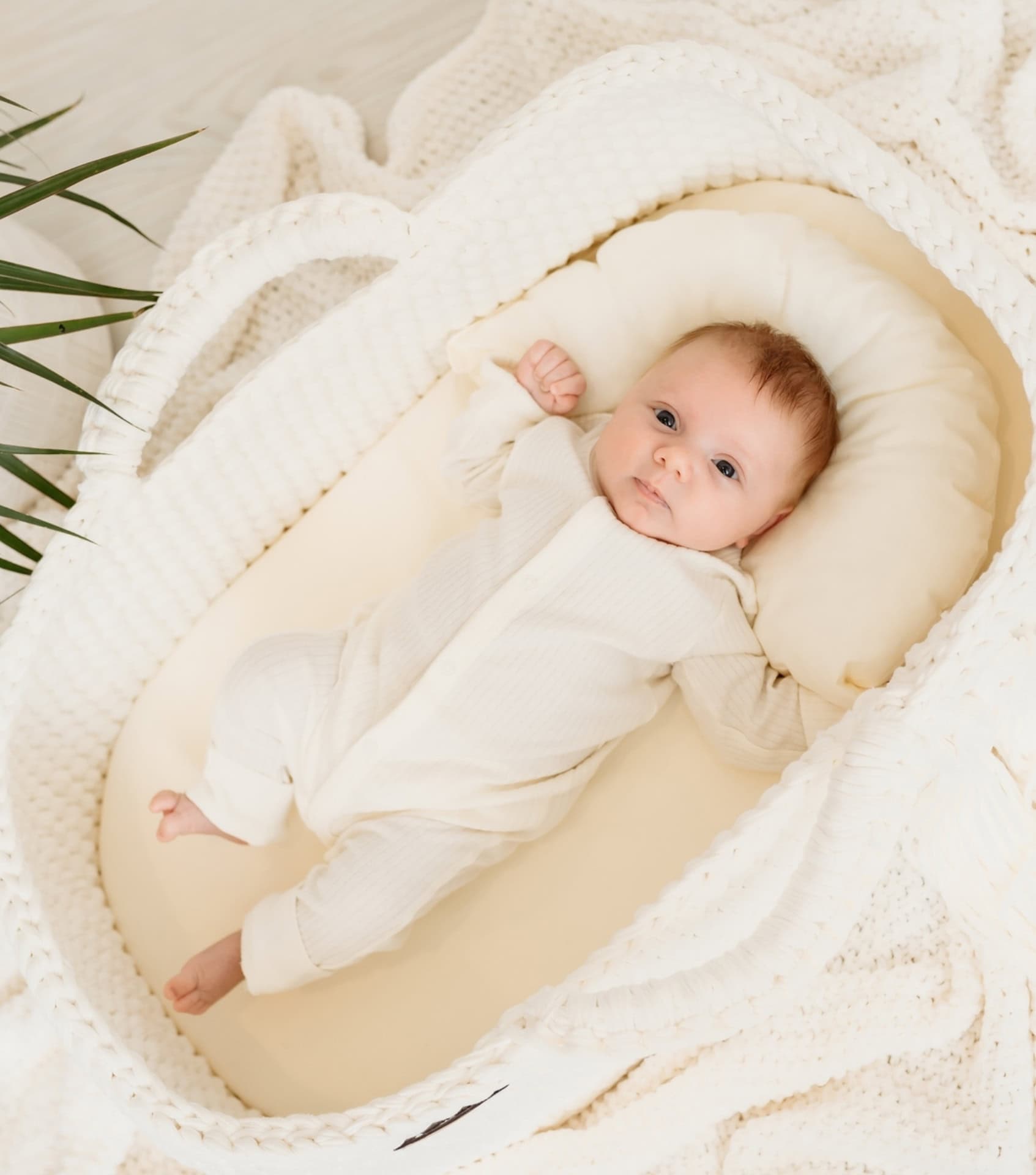 Non toxic bassinet 2018 best sale