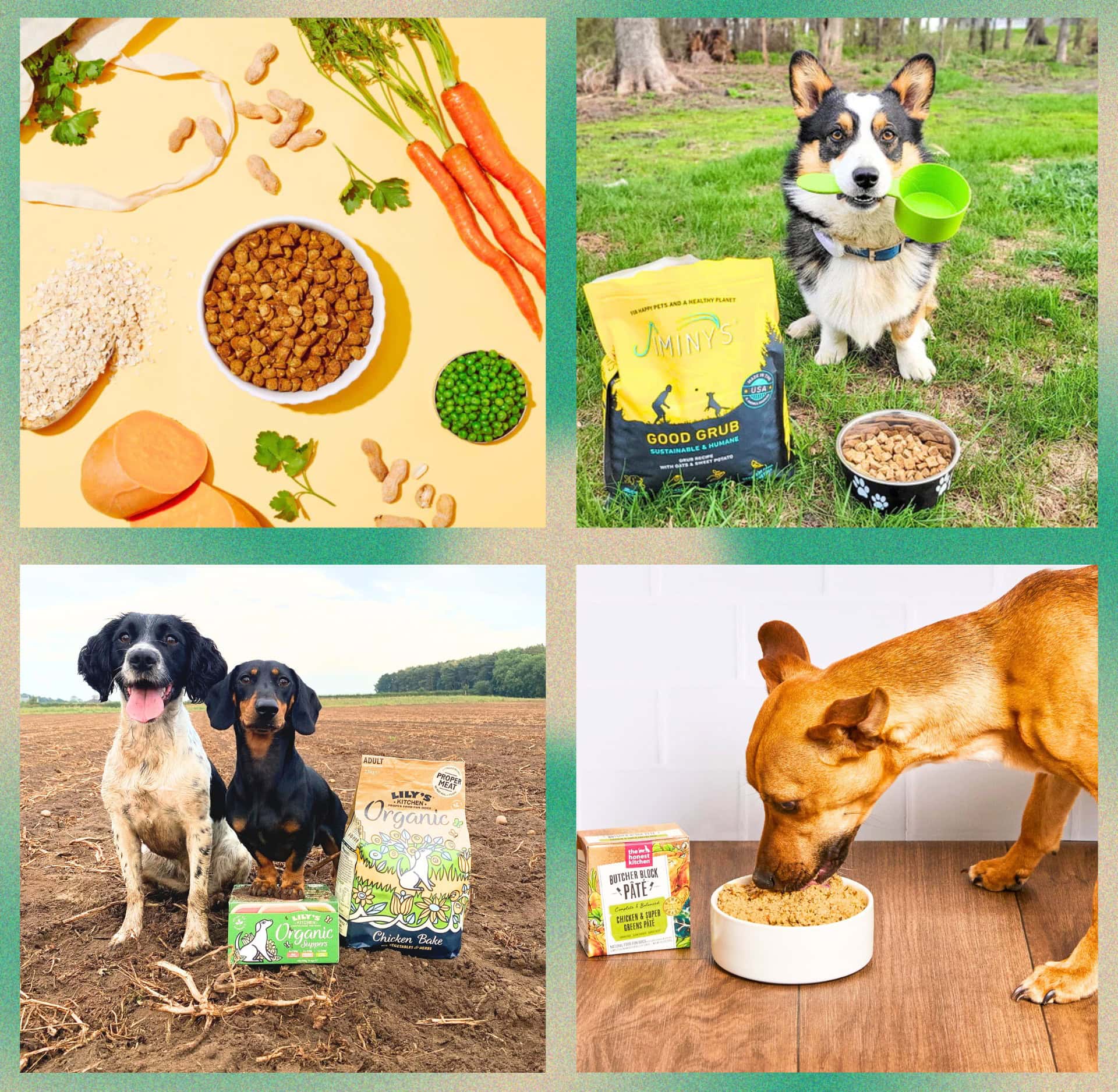 Collage of sustainable dog food brands showing kibble bowls, plant-based ingredients, and dogs eating eco friendly dog food.