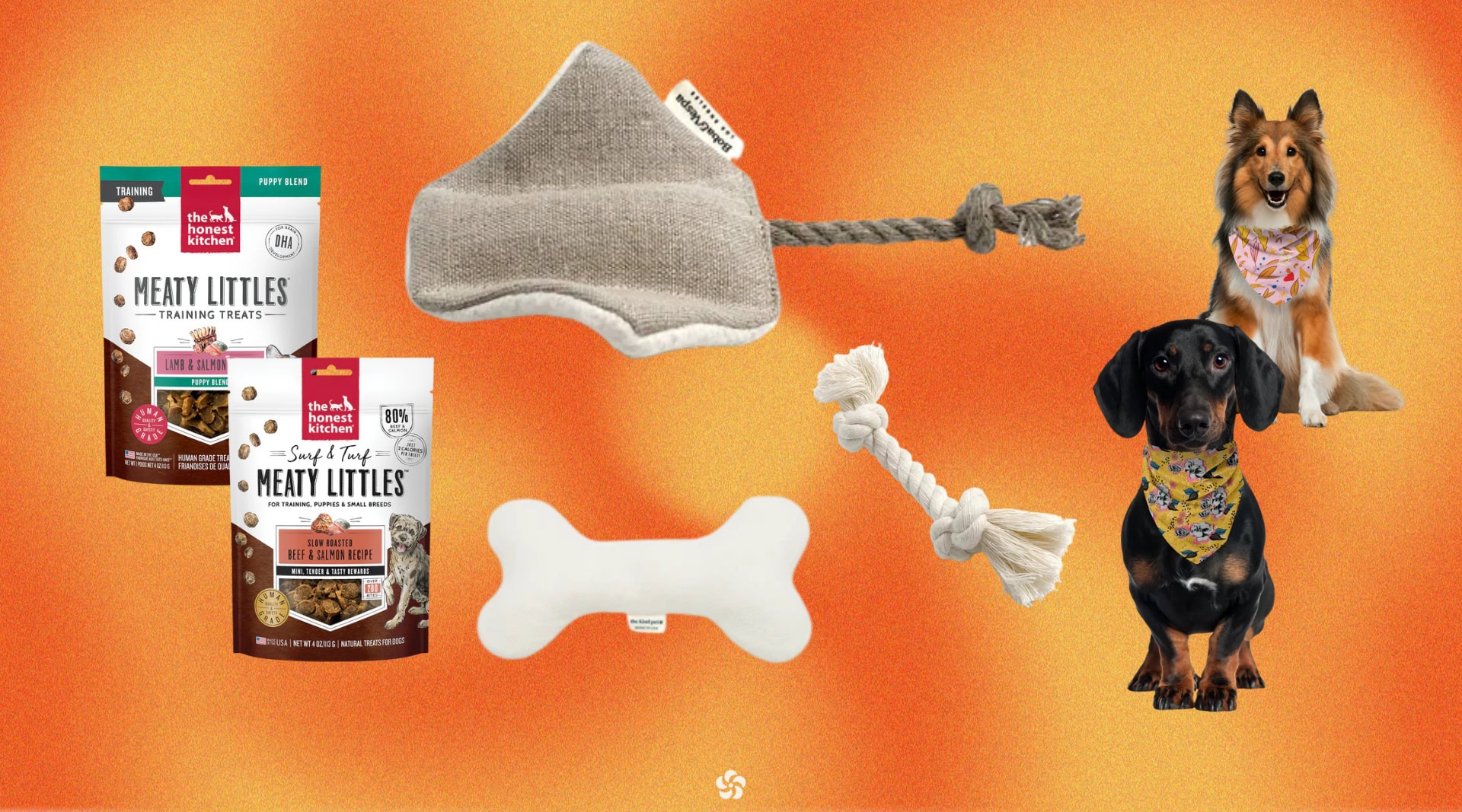 Non-toxic gifts for pets featuring The Honest Kitchen healthy dog treats, Boba & Vespa eco pet toys, organic cotton pet bandanas, and safe rope chew toys for dogs.