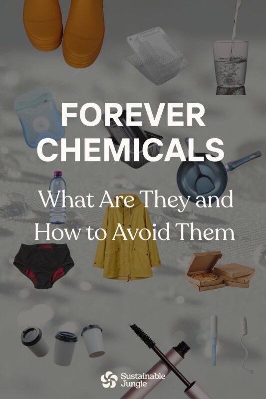 Forever chemicals (PFAS) are hiding in your cookware, rain jacket, drinking water, cosmetics, and even your toilet paper. Nearly all Americans have them in their blood. Learn what PFAS are, where they lurk in everyday products, and practical steps to reduce your exposure. Includes the difference between PFAS, PFOA, PFOS, and PTFE, plus links to non-toxic product alternatives. #ForeverChemicals #PFAS #NonToxicLiving #SustainableJungle