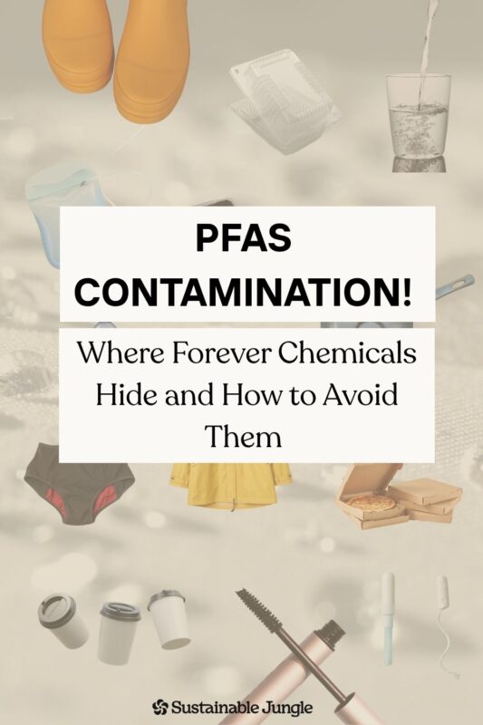 Forever chemicals (PFAS) are hiding in your cookware, rain jacket, drinking water, cosmetics, and even your toilet paper. Nearly all Americans have them in their blood. Learn what PFAS are, where they lurk in everyday products, and practical steps to reduce your exposure. Includes the difference between PFAS, PFOA, PFOS, and PTFE, plus links to non-toxic product alternatives. #ForeverChemicals #PFAS #NonToxicLiving #SustainableJungle