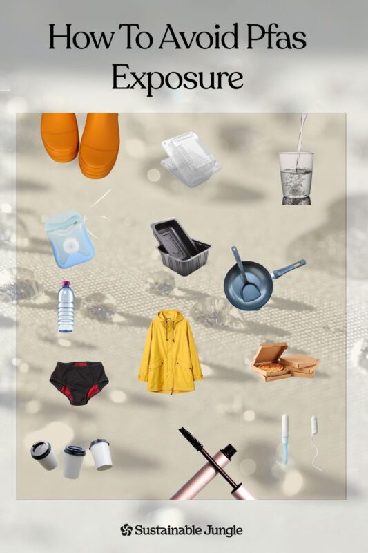 Forever chemicals (PFAS) are hiding in your cookware, rain jacket, drinking water, cosmetics, and even your toilet paper. Nearly all Americans have them in their blood. Learn what PFAS are, where they lurk in everyday products, and practical steps to reduce your exposure. Includes the difference between PFAS, PFOA, PFOS, and PTFE, plus links to non-toxic product alternatives. #ForeverChemicals #PFAS #NonToxicLiving #SustainableJungle